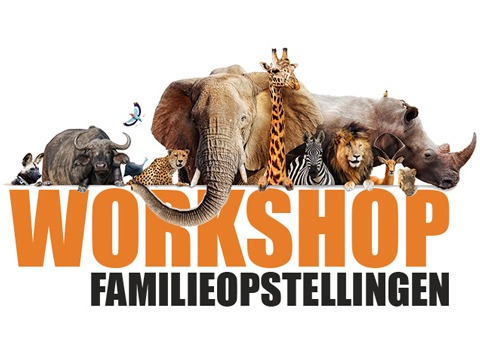 Familieopstellingen: workshop systemisch werk