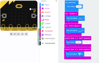 Workshop programmeren met de Micro:bit 