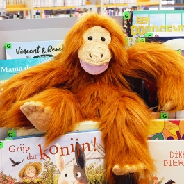 Voorlezen met Bieba